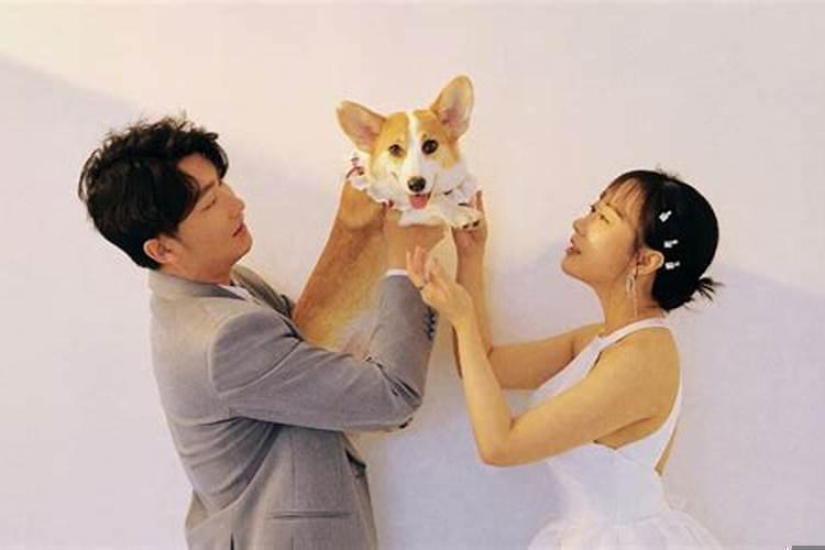 属狗的2025年结婚什么时候好啊