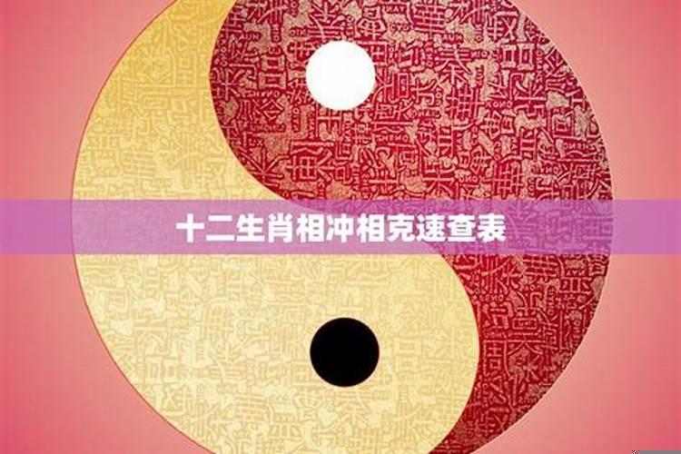 属相相冲能不能信