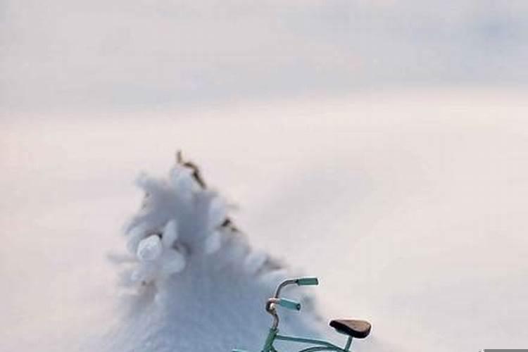 梦见好多蛇想咬我没有咬着