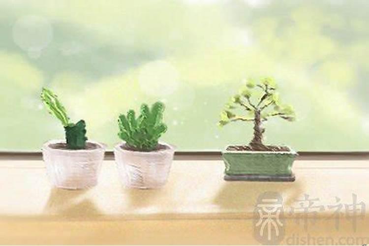 梦见已故长辈什么预兆买什么码吗?