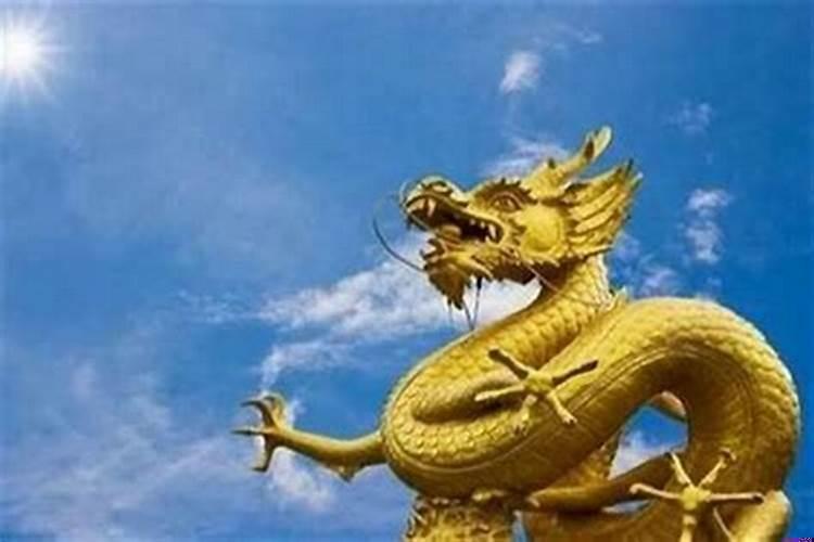 生肖龙适合干什么工作