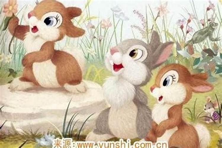 属兔人搬家择吉日