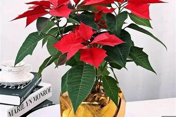 婚房里面放什么不吉利