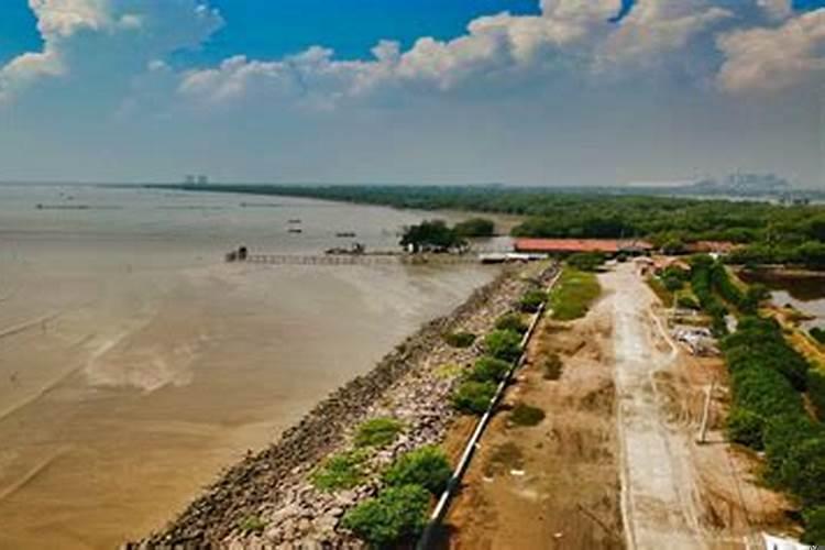 属狗的2025年结婚什么时候好啊