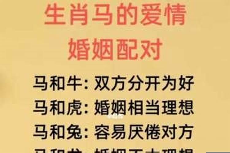 生肖马的爱情婚姻配对