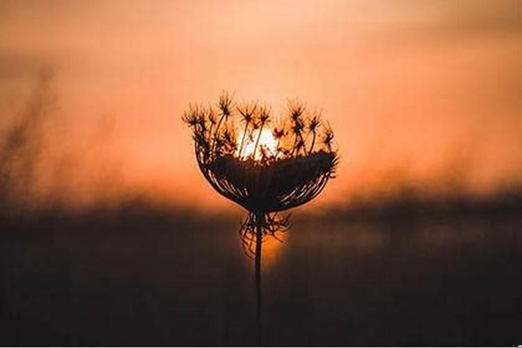 求的姻缘签准不准