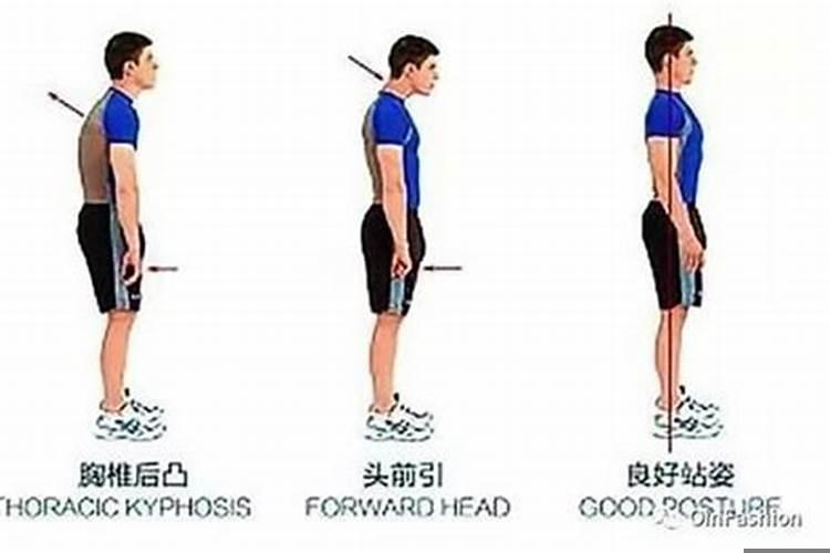 怎样从八字看配偶的相貌