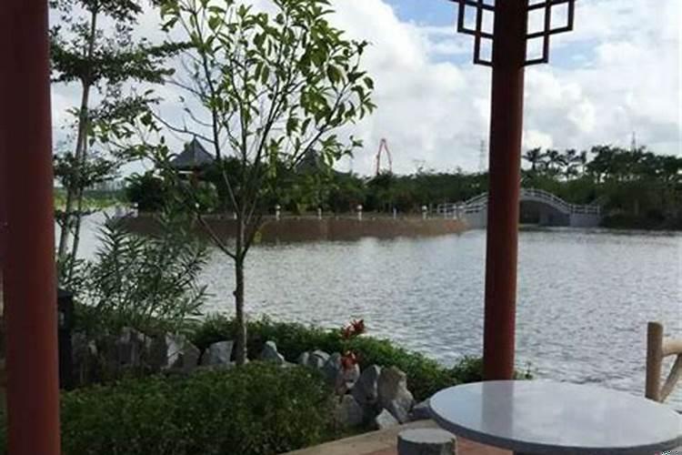 为什么总感觉家里好脏