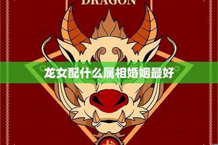属龙女的最佳婚配属相是啥