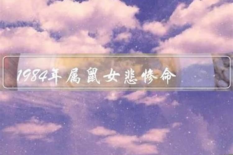 事业会取得成功的生肖