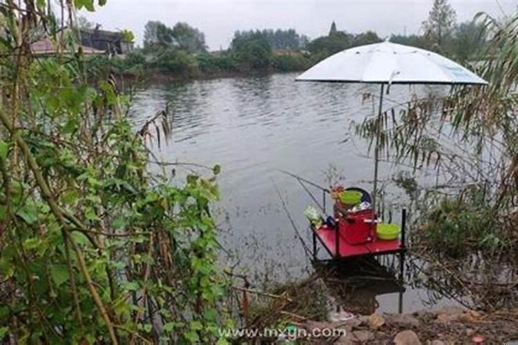 孕妇梦见钓鱼一钓就上钩周公解梦