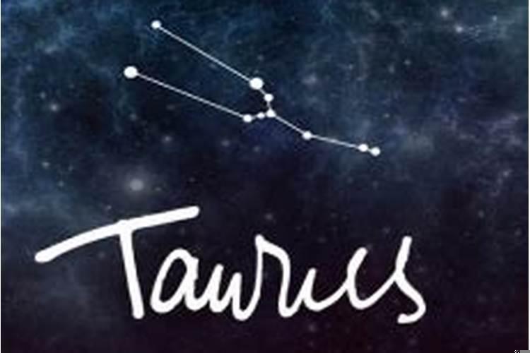 哪个星座男生最可爱