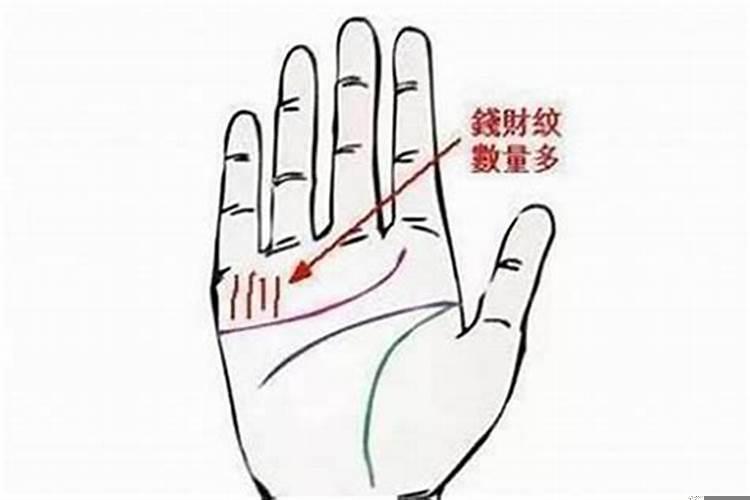 哪种手相财运好