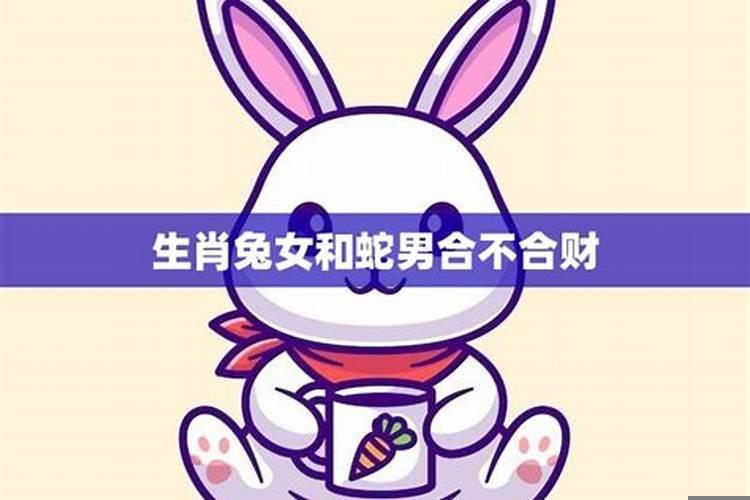 蛇男和女兔子属相合不合