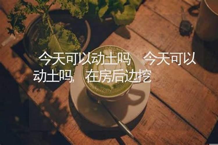 今年坟上能动土吗