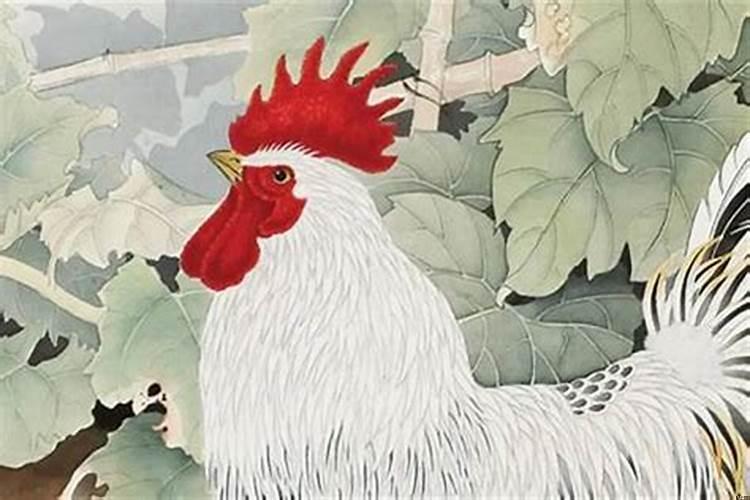 1969年属鸡人运势