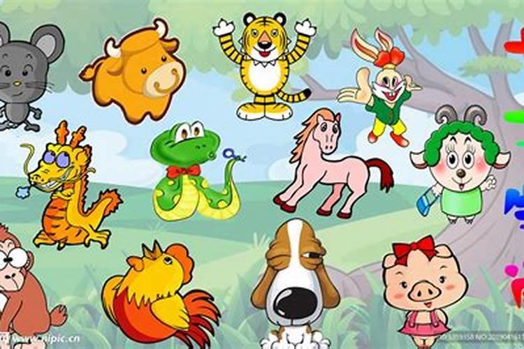 无依无靠的生肖动物