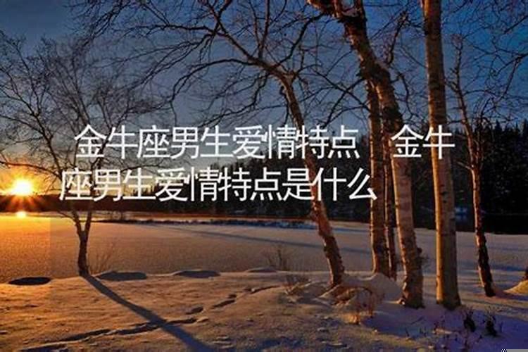 属龙金牛男爱情特点