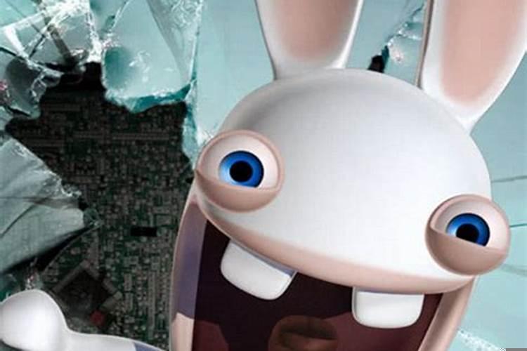 你做过的最疯狂的事