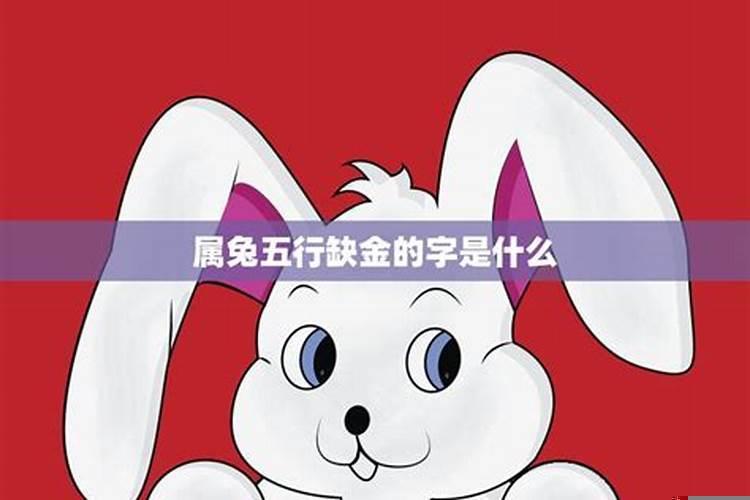 五行缺水属兔带什么好