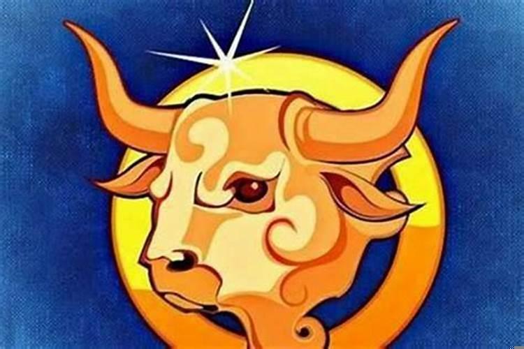 什么星座克金牛座女