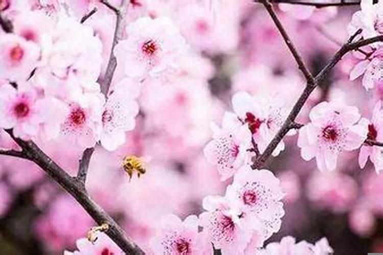 新房开灶有什么讲究吗请问