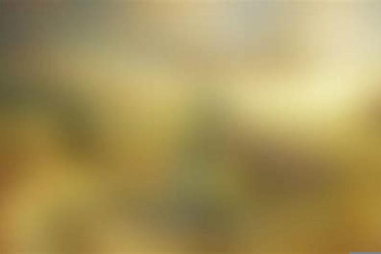 离婚女人做梦被蛇追什么意思呀