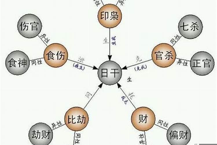 伤官和食神怎么区分的