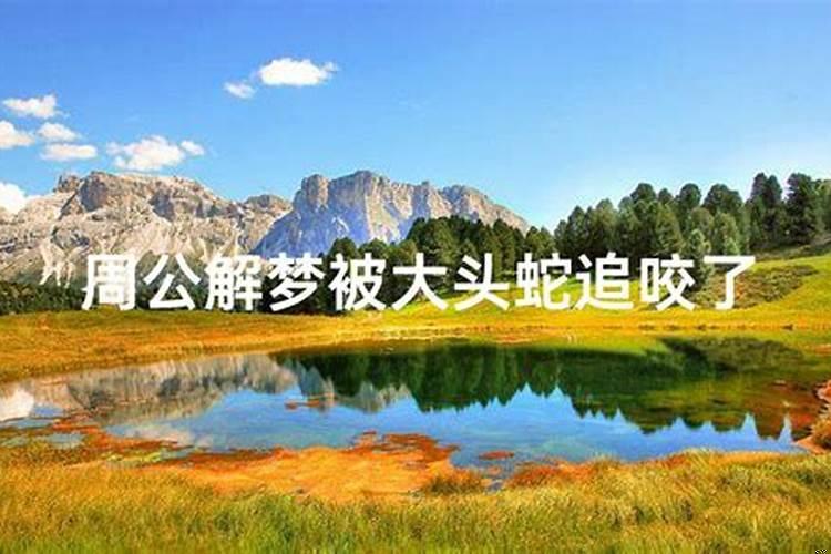 梦见被蛇追着咬什么预兆解梦