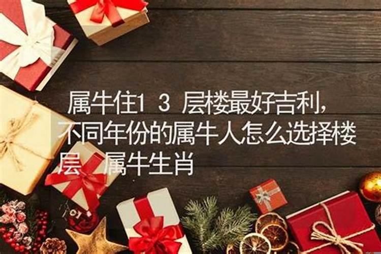 属牛人住23层楼好吗