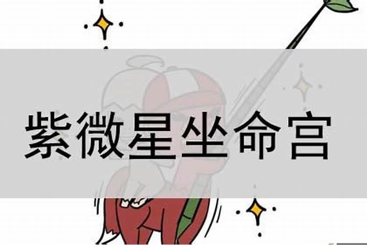 什么是紫微星入命