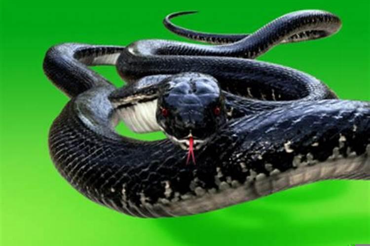 最近老是梦到喜欢的人是怎么回事