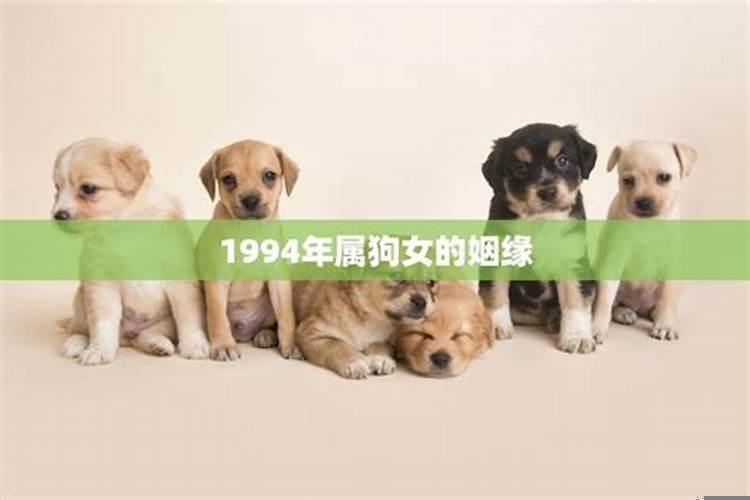 94年属狗女的姻缘在哪年