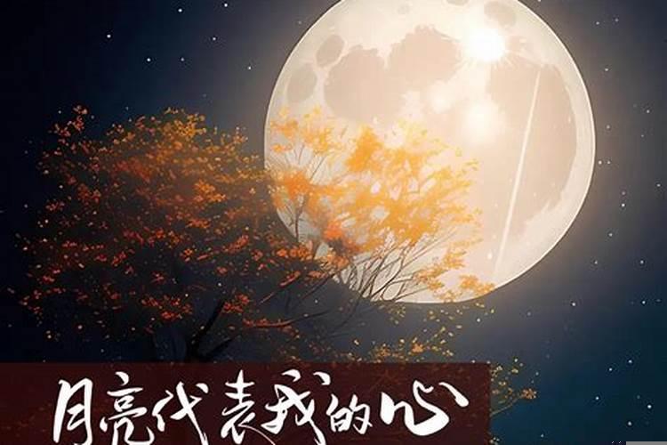 金牛座的心是什么心