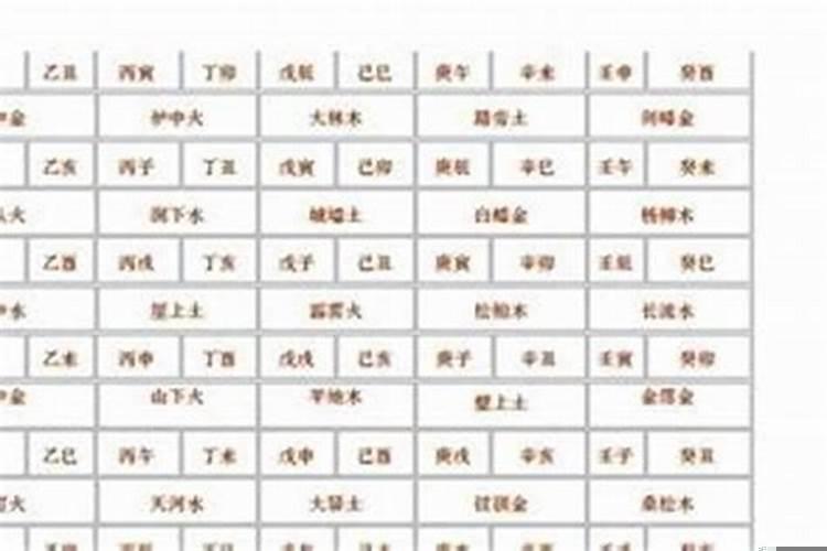 甲子已丑海中金命