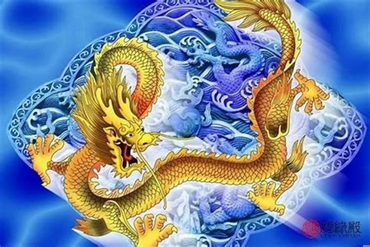 1988年属龙的婚姻怎样