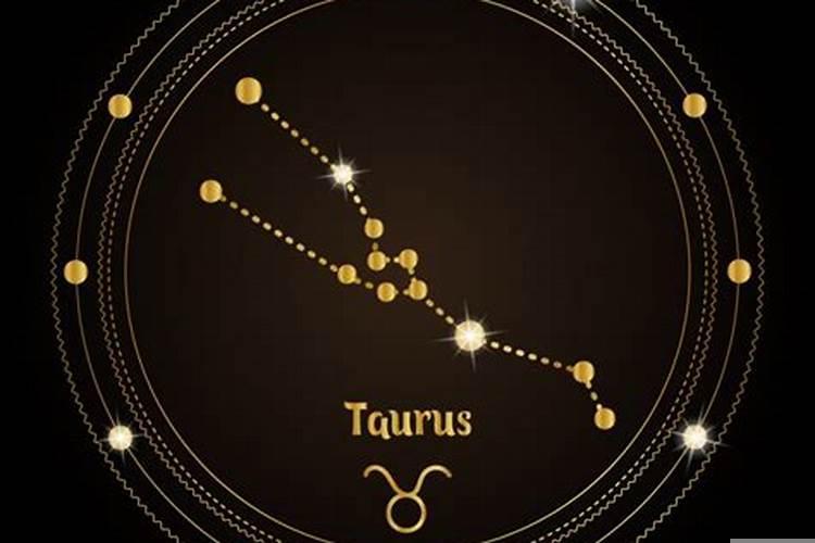 属兔和属龙结婚了怎么办