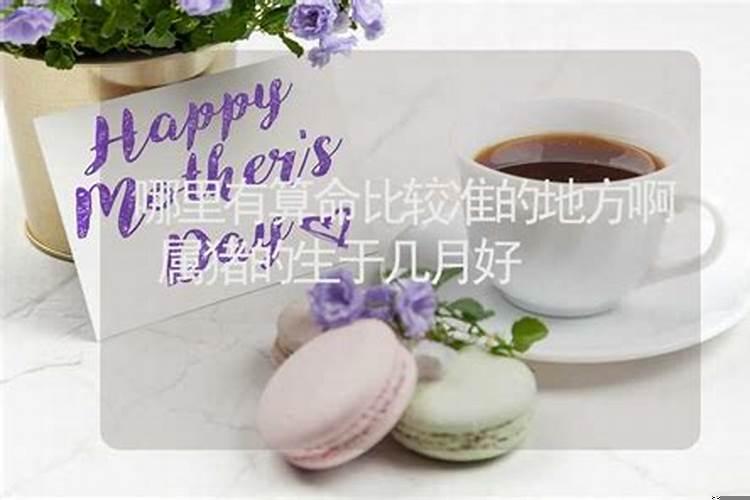 属猪的生于巳时的命运