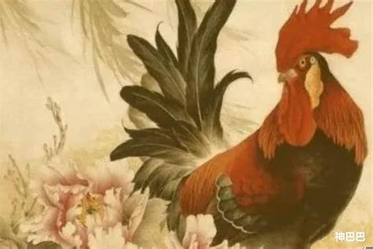 2022年属鸡运势及运程每月运程