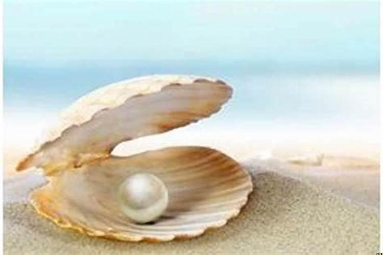 甲子已丑海中金命