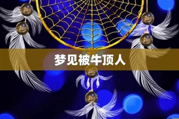梦到自己被牛顶是什么意思