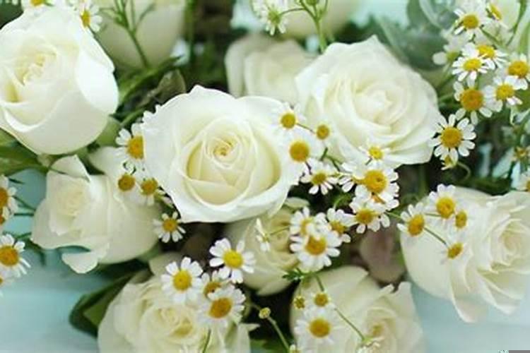 什么花象征着考试胜利