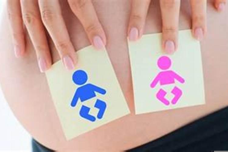 怀孕梦见孕妇是什么意思