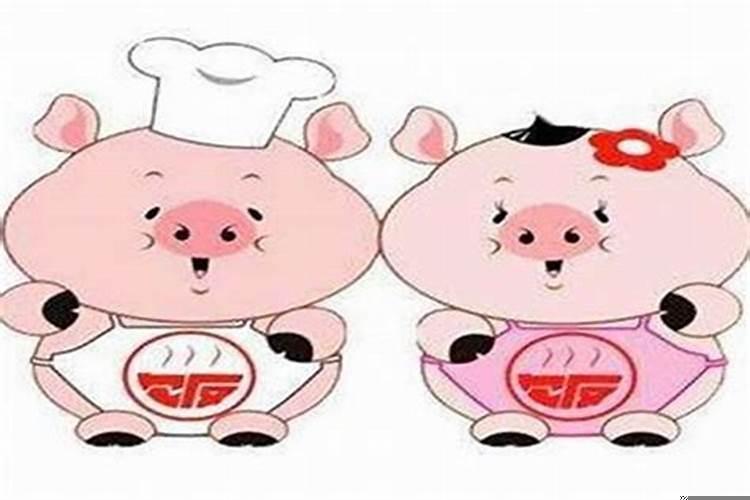属猪的生于巳时的命运
