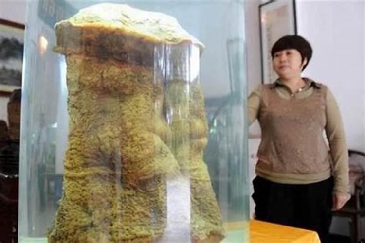 什么地方能找到太岁