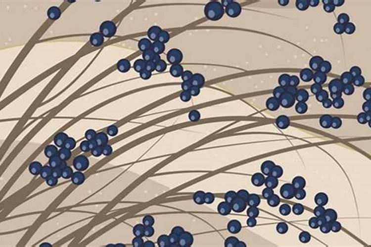 80年猴适合戴什么首饰