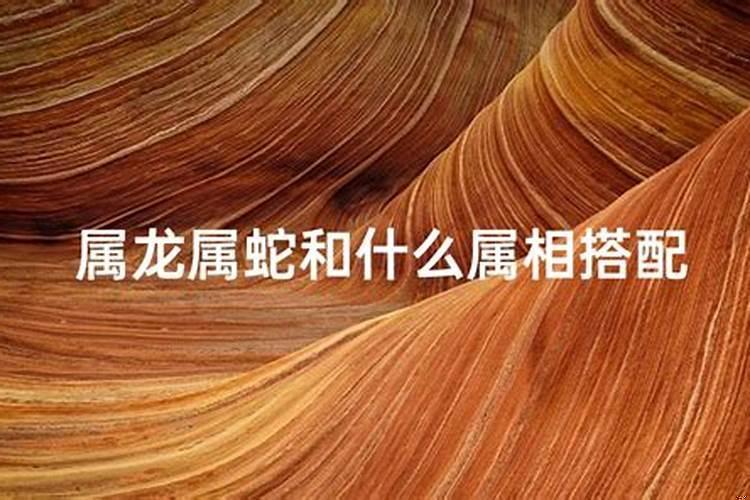 属龙的处女座男生爱情