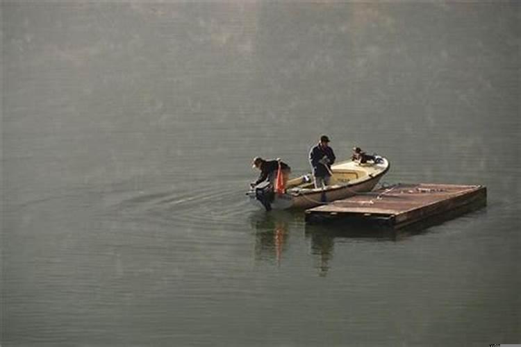 梦见很多柳树什么意思