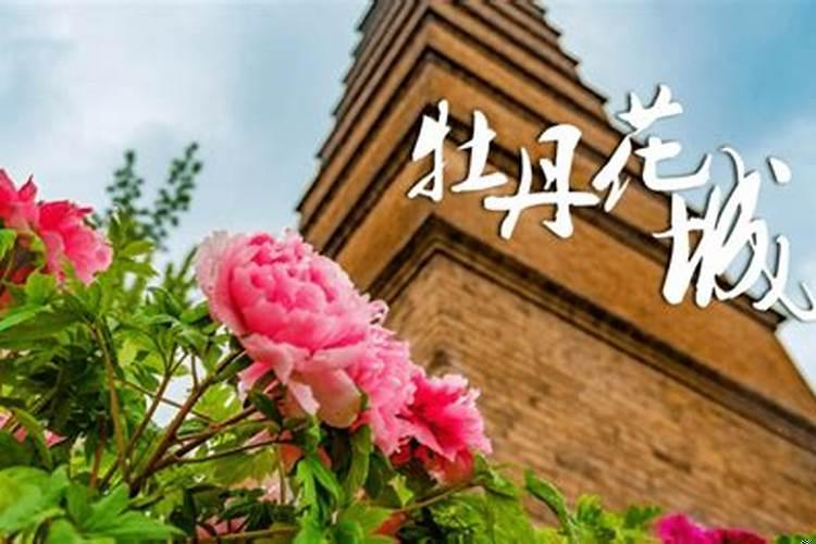 火旺缺水适合做什么行业