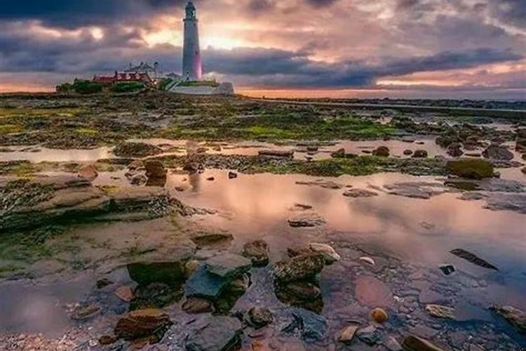 狮子座会主动么